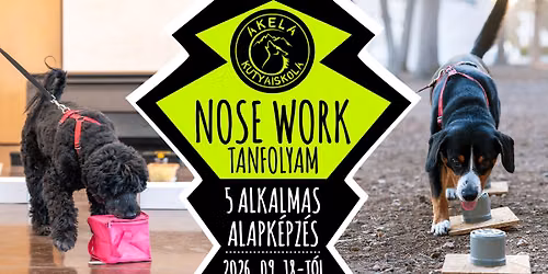 \ud83d\udc36 NOSE WORK tanfolyam \ud83d\udc43\ud83c\udffb