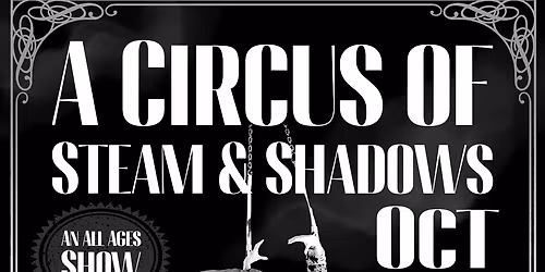 Shadows, An All Ages Circus Show at Village Theater at Cherry Hill