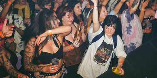 Intrigue with Bachelors of Science & more