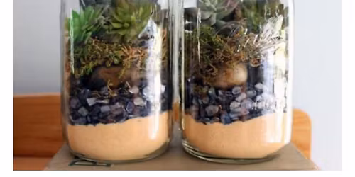Let\u2019s make a Terrariums 