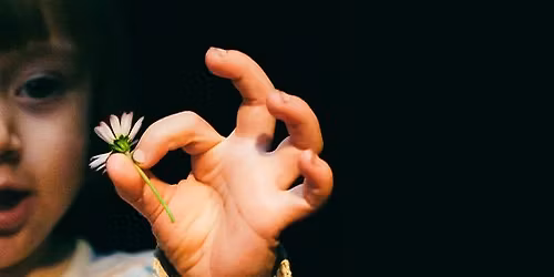 HurlyBurly Theatre presents You are the Sun