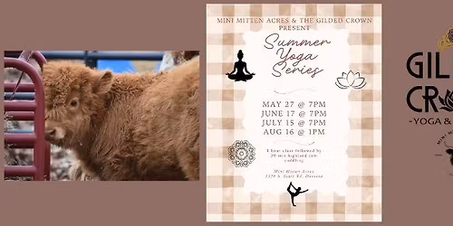 Summer Yoga Series