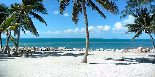 WWE Florida beach day and potluck