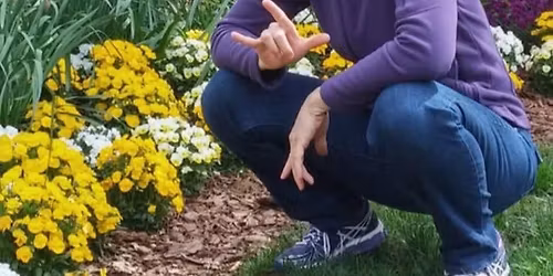 Intro to Yoga Workshop