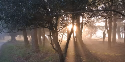 A Wildlife Year Talk