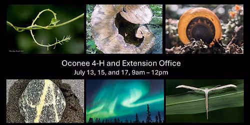 Oconee EcoArt Camp 2026