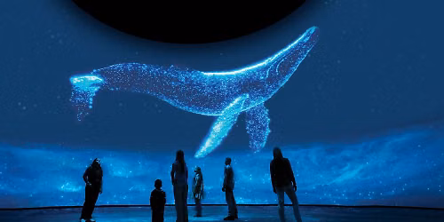 Surreal Nature in The Dal\u00ed Dome\u2014Opening Day