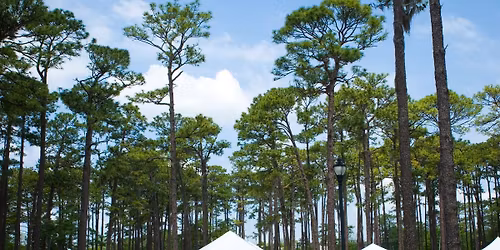 2026 Earth Day Festival