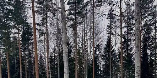Skogsfinska naturnamn i Sandvikens och Ockelbo kommuner 