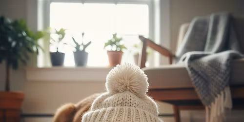 Cozy Comforts Cat Yoga: Winter Stretch & Snuggle for Ages 9-18