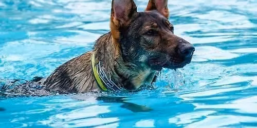 \ud83d\udcabSpring Fling 2026\ud83d\udcab