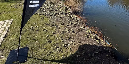 liiteGuard Recovery Run | F\u00e6lledparken