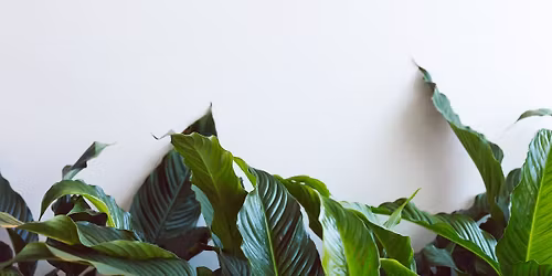 Christmas Wreath Workshop 