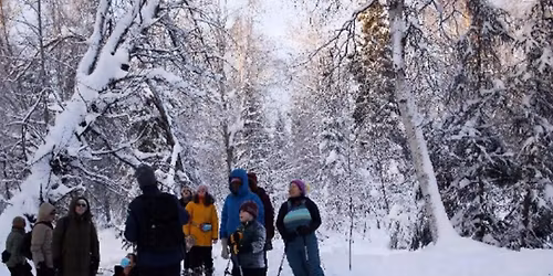 Family Snowshoe Hike 