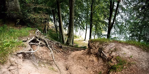  Hemmeligheder, orkideer og r\u00f8verhistorier i Staksrode Skov