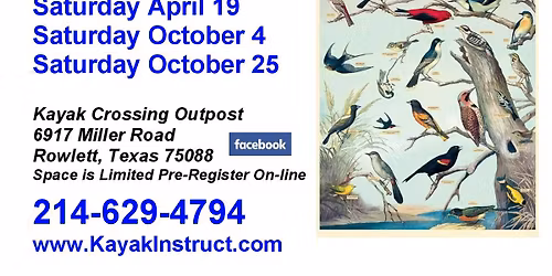 Lake Ray Hubbard Bird/Nature Tours