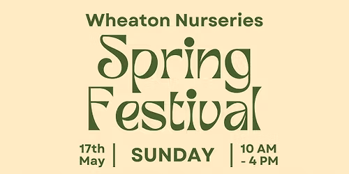 Spring Festival