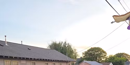 PF26 - Freudian Slips - First Saturday