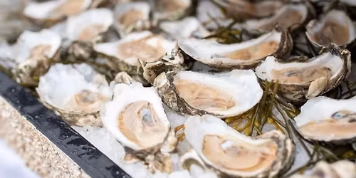 Oyster Roast with The Shooters Band