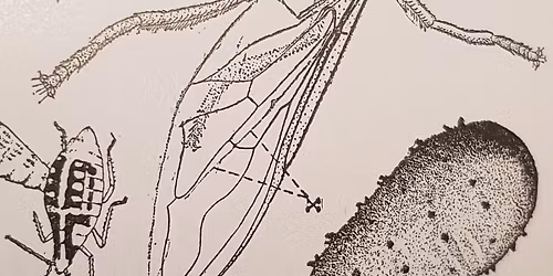 Atelier sculpture avec LGH