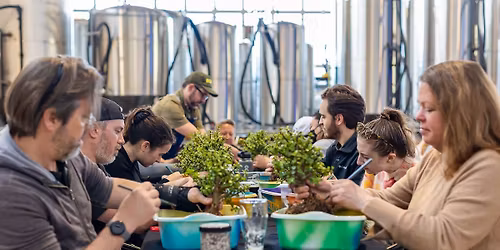 Bonsai Workshop at Sanitas Brewing Company - Lafayette