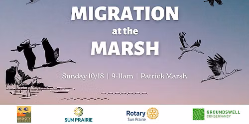 Migration at the Marsh