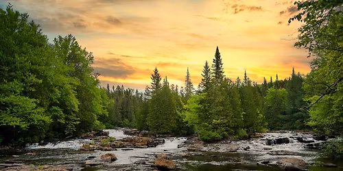 Kids Week " Wild New Hampshire"