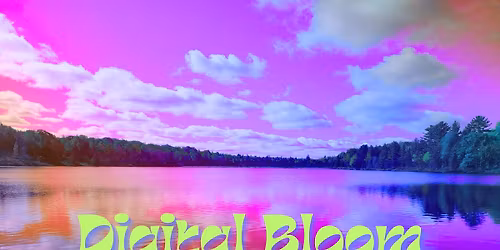 Digital Bloom