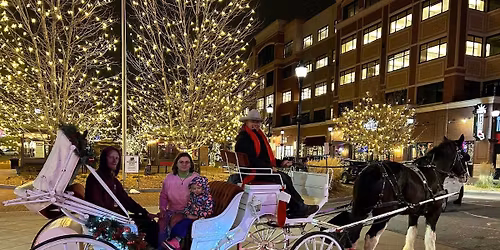 Downtown Fort Collins Holiday Light Tours