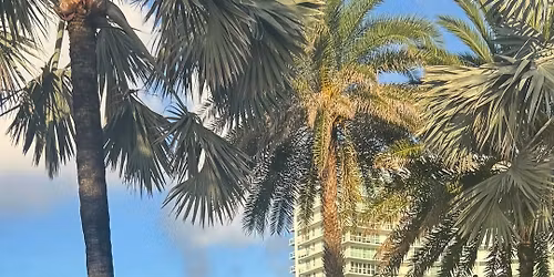Sunrise Pilates by the Pompano Pier