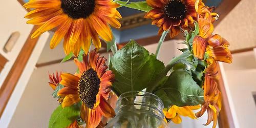 One Year Anniversary Open House