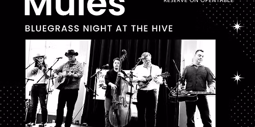 Bluegrass Night at The Hive: Sugar Mules