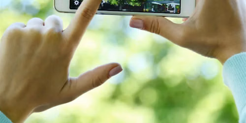 Introduction to iNaturalist