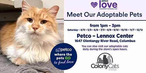 Adoption Event at Petco Lennox Town Center