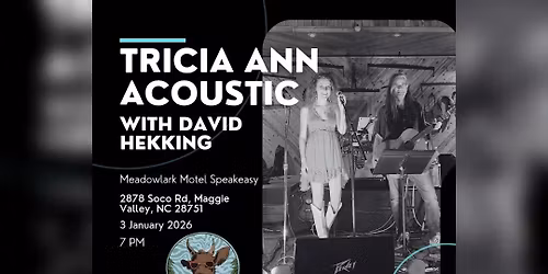 Tricia Ann Acoustic Live at Meadowlark Motel Speakeasy