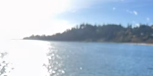 DIVE! Into a Book Club \u2013 What a Fish Knows