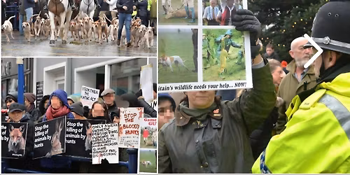 BoxingDay Protest Against Hunting Abergavenny 2025