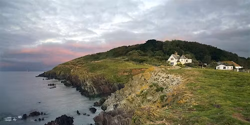 Looe Island | Island Life