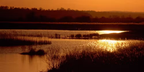 NY Walk with a Ranger at Rye Harbour: Castle Water Birds at Sunset