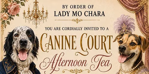 Canine Court Afternoon Tea