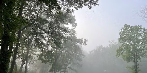 Fridays at Rose Creek Park