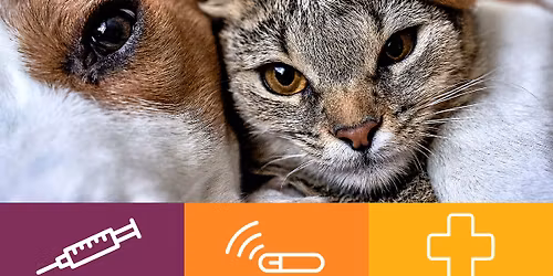 FREE Microchip & Vaccine Clinic