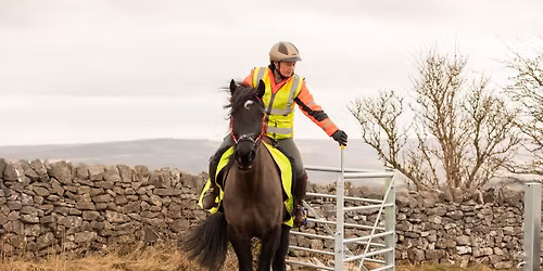 Gate Training on Hobb's Trail