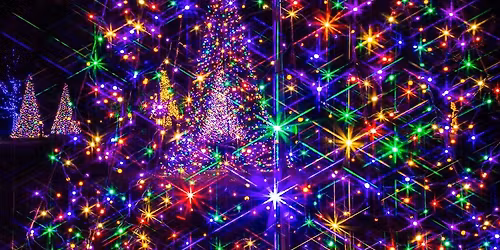 SOLD OUT! Longwood Christmas_Photography After Hours