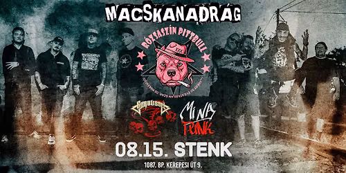 Macskanadr\u00e1g, R\u00f3zsasz\u00edn Pittbull, Caroussel, MiNaPunk - STENK