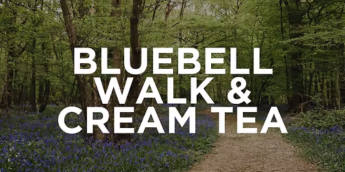 Bluebell Walk & Cream Tea | Earth Day