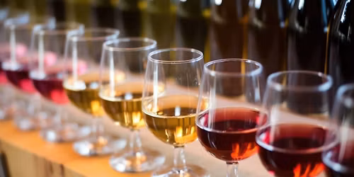Wine 101 - Tasting Event - $15