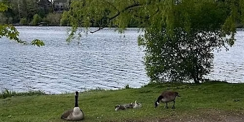 High Park To Long Branch Fast Hike