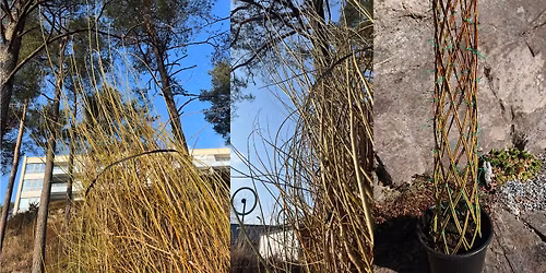 Pilehytte dugnad og workshop