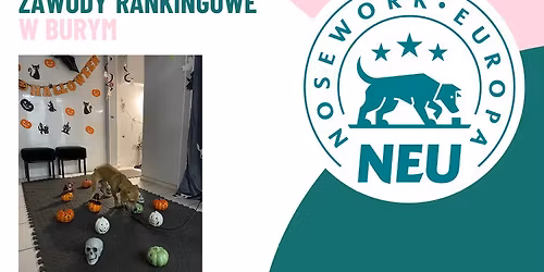 Halloweenowe Zawody Rankingowe Nosework Europa w Burym